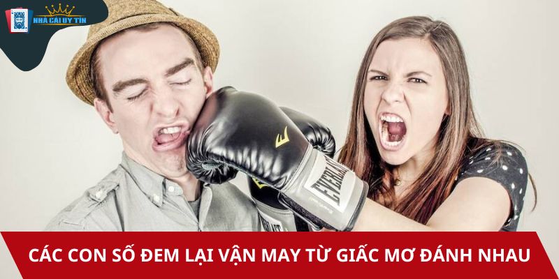 Các con số đem lại vận may từ giấc mơ đánh nhau