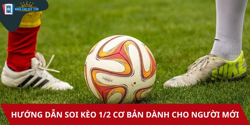 Hướng dẫn soi kèo 1/2 cơ bản dành cho người mới