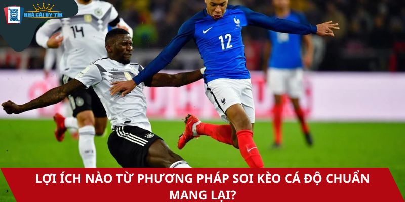 Lợi ích nào từ phương pháp soi kèo cá độ chuẩn mang lại?