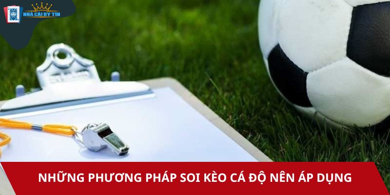 Những phương pháp soi kèo cá độ nên áp dụng