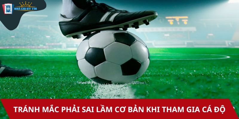 Tránh mắc phải sai lầm cơ bản khi tham gia cá độ