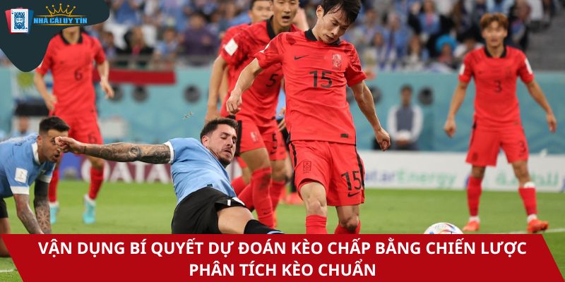 Vận dụng bí quyết dự đoán kèo chấp bằng chiến lược phân tích kèo chuẩn