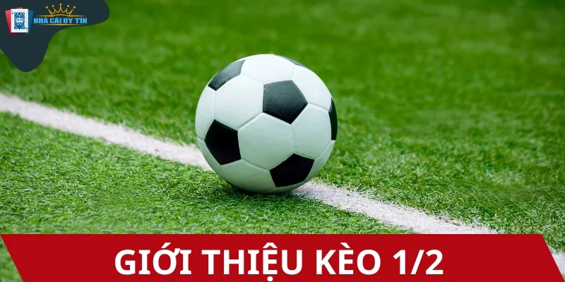 Kèo 1/2 - Tỷ lệ chấp cực kỳ được ưa chuộng trong bóng đá