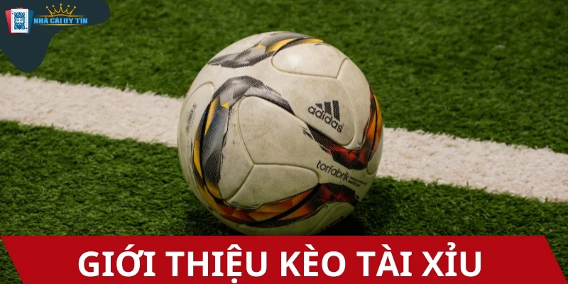 Kèo Tài Xỉu nổi bật với các chơi độc đáo, thú vị
